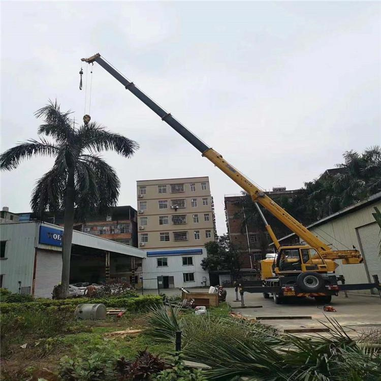 宁明树木移栽装卸